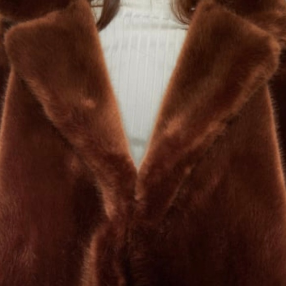 ZARA Faux Fur Coat:Brick, US S, M, L, XL - Picture 4 of 9